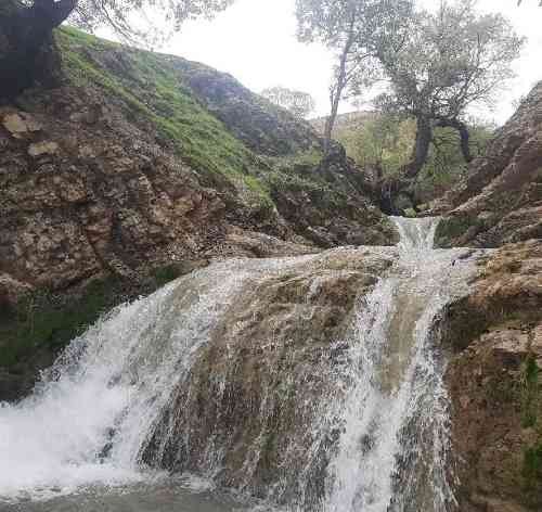 امیر خلوت و سیناب بازیگر